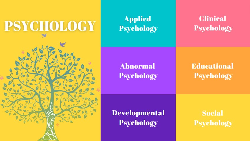 branches of psychology short essay